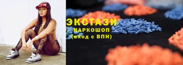 ешки Алексин